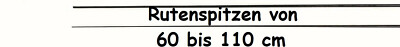 Rutenspitzen Kohlefaser - Rutenspitze - Kohlefaserspitzen - Kohlefaserspitze JB 