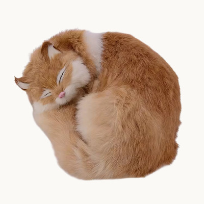 Realistische schlafende Katze Plüsch 8 Zoll lebensechte Simulation Haustier Ornament Wohndeko Puppe