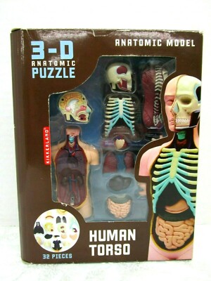 Kikkerland Anatomic Model Human Torso 3D Anatomic Puzzle