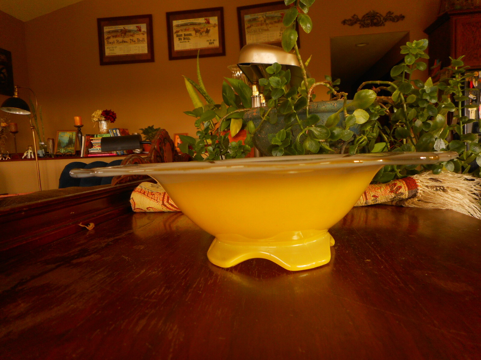Picture 4 of 12