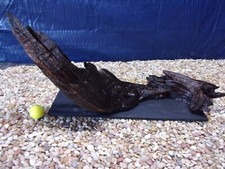 XX-Large Driftwood Mounted on Slate 12"x28"x11" Aquarium Reptile Natural Art