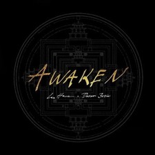 Davor Bozic Awaken - Gold (Vinyl) (US IMPORT)