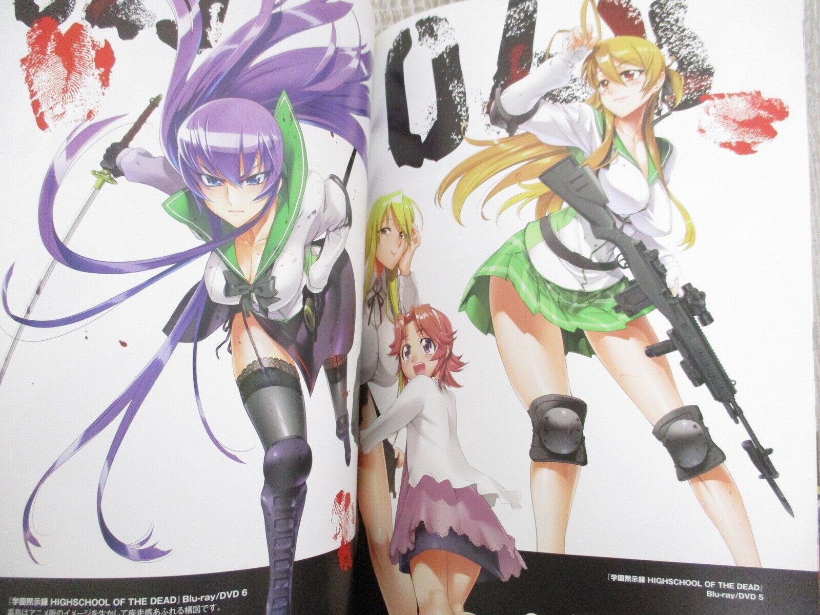 Interview with Shoji Sato, the Highschool of the Dead illustrator, about Season  2 at AniMagic 2012. : r/anime