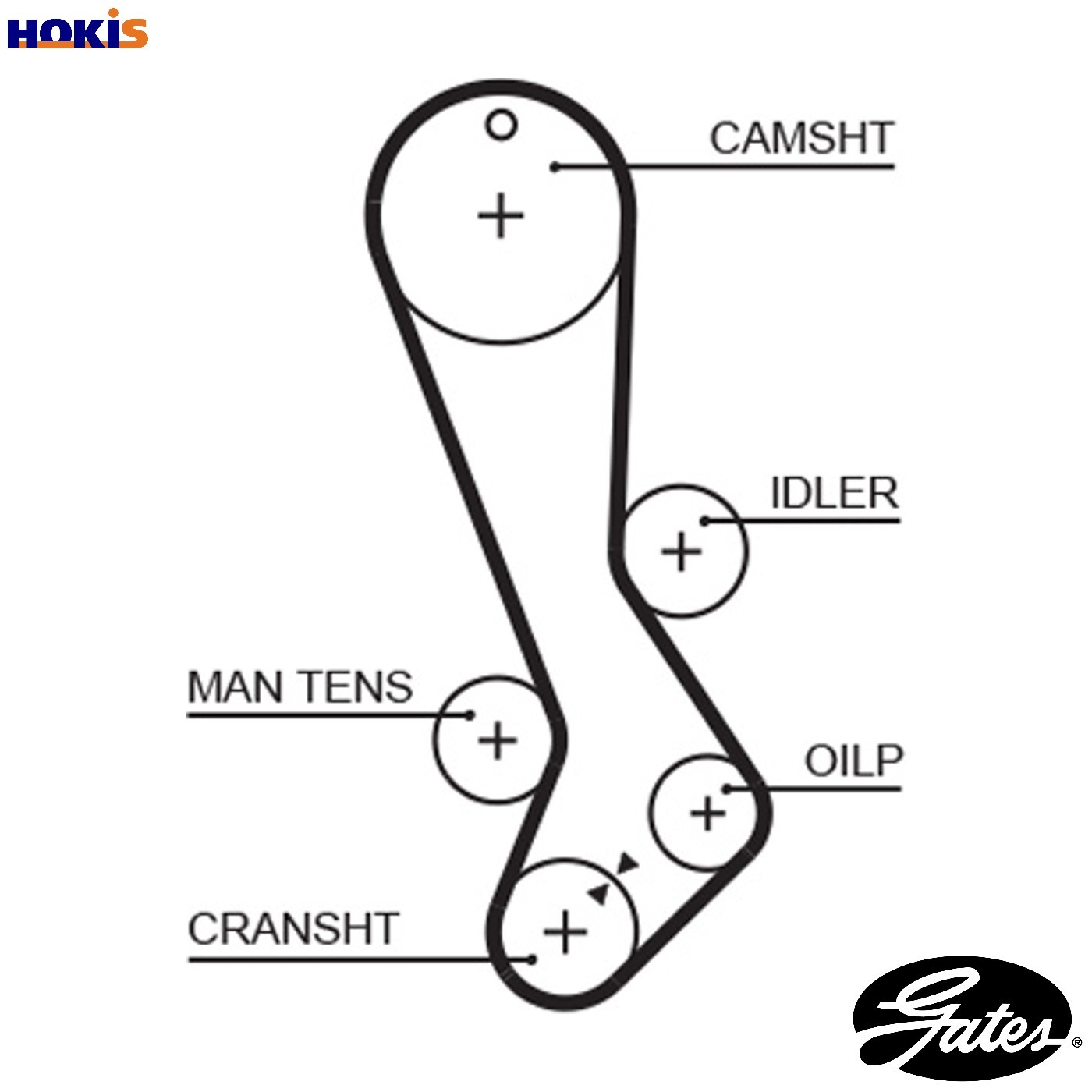 GATES-OE 5282XS Timing Belt for LEXUS,TOYOTA - Image 11