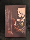 AMAZING SPIDER-MAN #799  VIRGIN DELL OTTO EXCLUSIVE SPIDERMAN 1