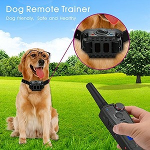 obedog training collar