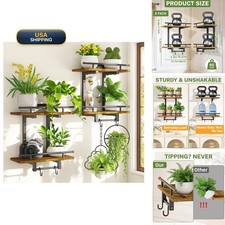 iDavosic.ly Wall Plant Holder Set of 2, 2 Tier Indoor Display Shelf - Brown