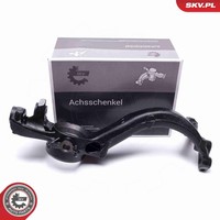 Achsschenkel RadaufhäNgung Esen SKV 47SKV381 FüR VW Passat B5 3B3 Variant 3B6 1