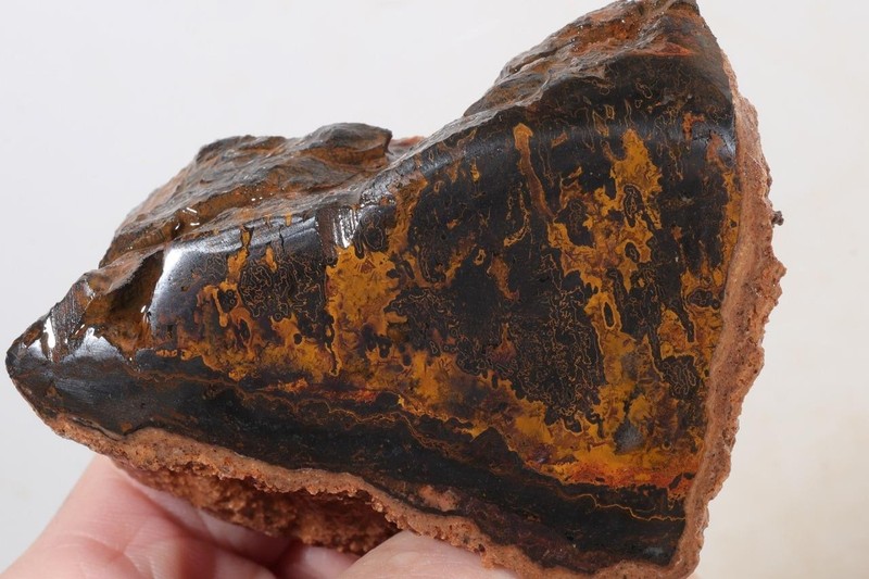 Morocco Yellow Jacket Jasper lapidary 10.4 oz. windowed rough lot P5