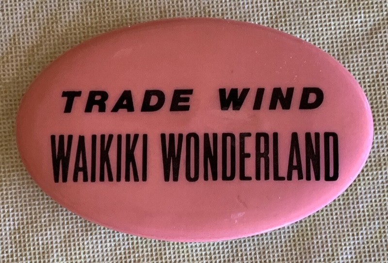 Vintage - Trade Wind Waikiki Wonderland - Hawaiian Pin