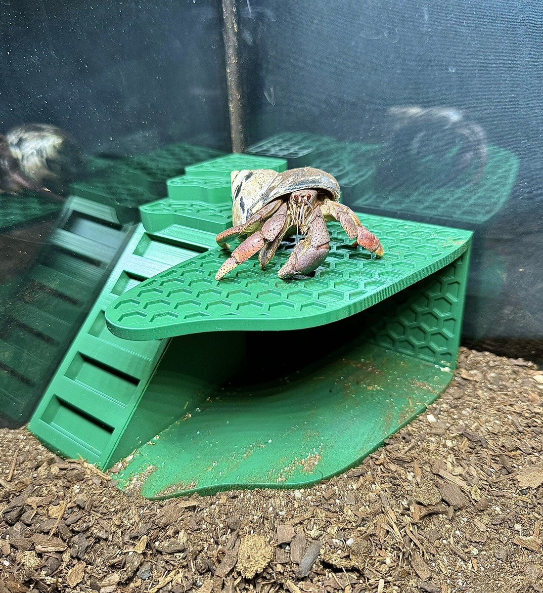 Hermit Crab Climbing Corner Playground Stand Hermit Crab Hide Cave