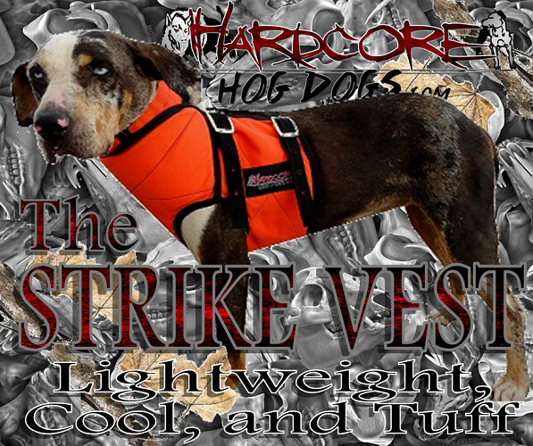 STRIKE VEST made with KEVLAR SHORT for hog dogs ORANGE EXTRA-LARGE