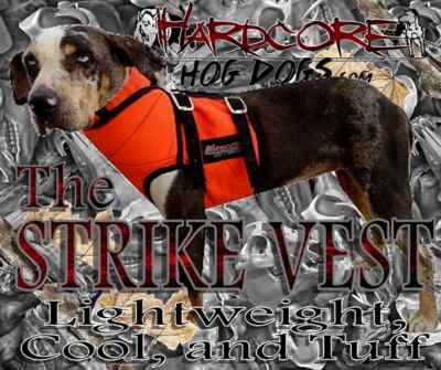 STRIKE VEST made with KEVLAR SHORT for hog dogs ORANGE