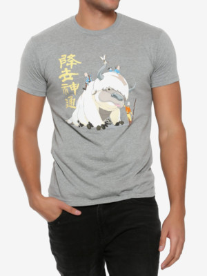 avatar appa shirt