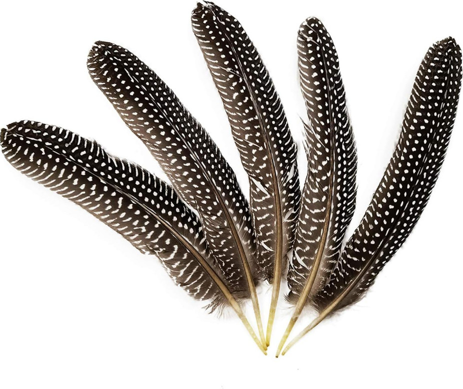 20pcs 6-9 inch Natural Guinea Wing Plumage Feather DIY Craft Jewelry Cloth Decor