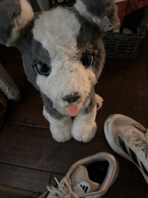 FurReal Ricky Trick-Lovin Interactive Pet Siberian Husky Puppy Dog Gray