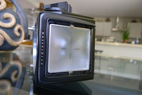 HASSELBLAD 500CM 500C/M Kamera Body CLA'D 3/2025 Exc++ Versand heute - Bild 9 von 10