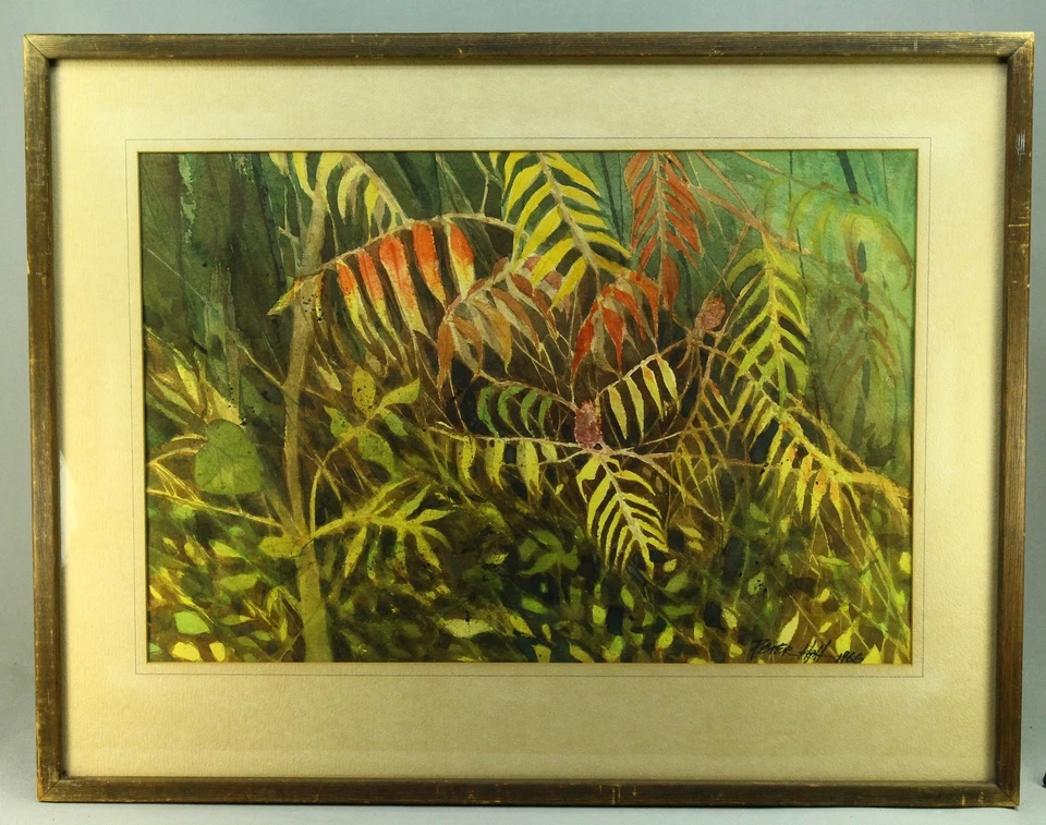 * Peter Hall 1966 (sudafricano, siglo XX.) Acuarela, árbol de zumaque Foto 2 de 4