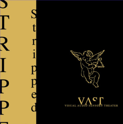 VAST ''Stripped'' Visual Audio Sensory Theater (Acoustic Edition) 2x Vinyl LP