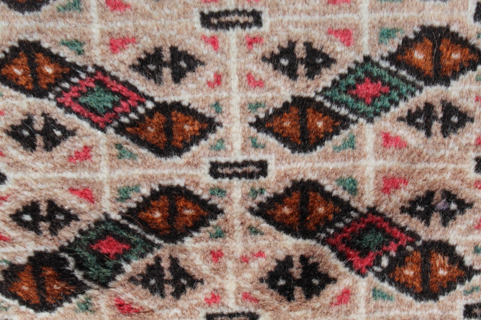 Picture 10 of 12