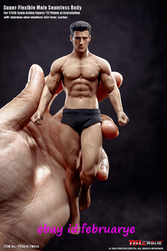 Tbleague Phicen 1/12 TM01A Scale Male Seamless Figures (Both With