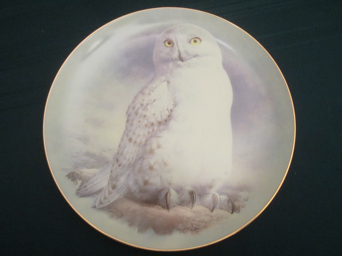SNOWY OWL collector plate RAYMOND WATSON 1st Edition OWLS Franklin