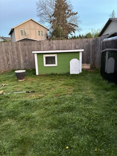 Green Raised Wooden Outdoor Dog House with Window for Large Dogs