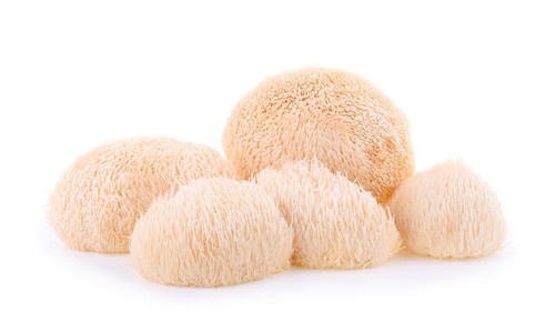 Organic Lions Mane Mushroom Powder - Brain & Memory, Vegan, Super foods - Picture 4 of 4