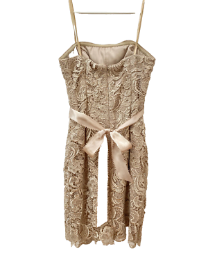 Adrianna Papell Evenin Dress Beige Lace 6 Spaghtty Straps Pencil Belt Back Zip | eBay Adrianna Papell Evenin Dress Beige Lace 6 Spaghtty Straps Pencil Belt Back Zip | eBay