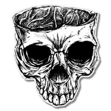Skull Car Laptop Phone Vinyl Sticker - SELECT SIZE