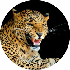 15 16 17 Custom Made With Your Size Soft Spare Wheel Tire Cover Protector