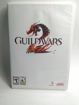 Guild Wars 2 PC Computer Game Fun RPG