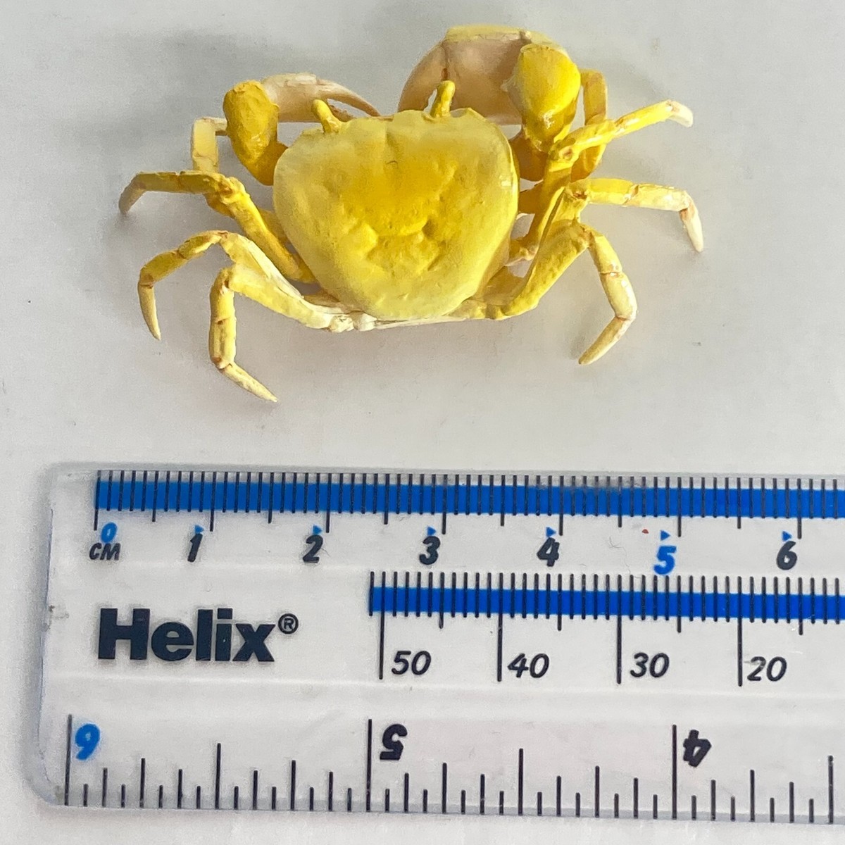 Nature Techni Colour Mini Figure Japanese Freshwater Crab