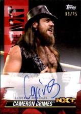 Cameron Grimes 2021 Topps WWE NXT We Are NXT Red Parallel Auto Card #A-CG 9/25
