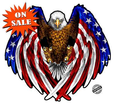 American Eagle Flag Wings Wall Decor | eBay