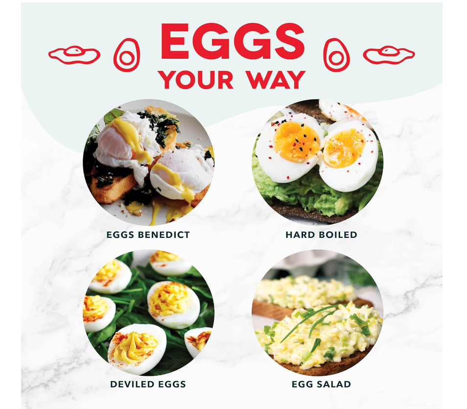 DASH Fast Electric Egg Cooker with 6 Egg Capacity in Aqua 5.5 Inch  