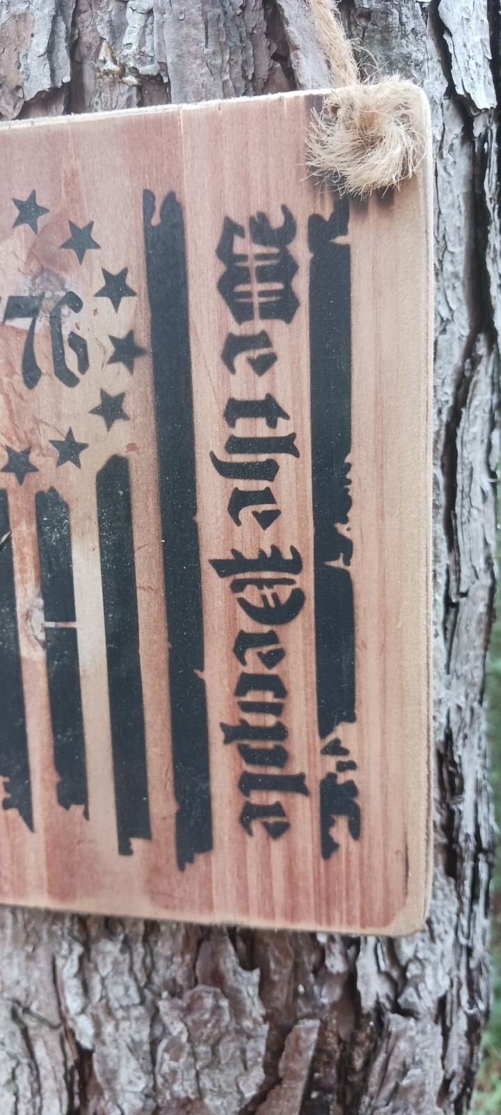 Picture 3 of 8