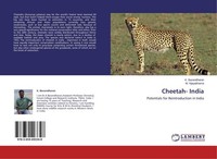 Cheetah- India K. Baranidharan