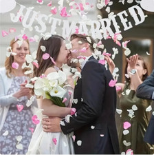 Just Married Wedding Bunting Decor - Mr & Mrs Car Banner Decorations