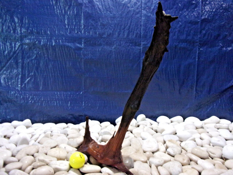 Large Driftwood Aquarium Loose Wood, Very Low Tannins, Freshwater, Reptile eBay