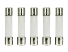 Microwave 20 Amp 250V Fuse, Slow-Blow, 6X30 Mm Ceramic Cartridge Fuse Compatible