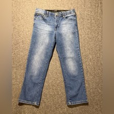 Curve Appeal Comfort Waist High Rise Straight Jeans womens 10/30 blue fit 31x25