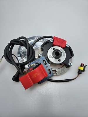 Selettra KZ complete analog System for Suzuki RM 100 (1976-1981) incl. Adapte...