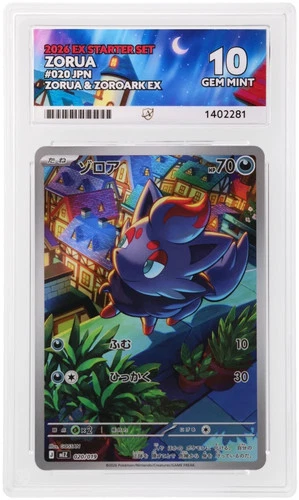 Zorua 020/019 ACE 10 EX Starter Set Pokemon Card Game