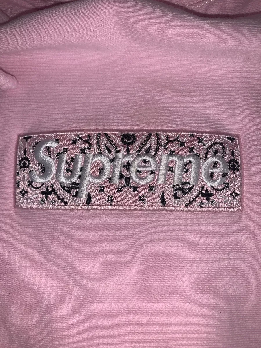 Supreme Bandana Box Logo Hoodie FW19 Light Baby Blue Size Xlarge