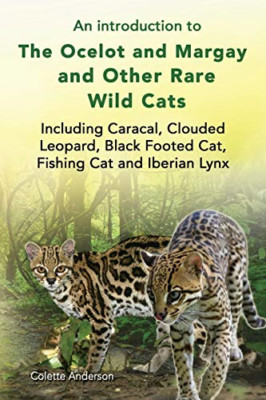An introduction to The Ocelot and Margay and Other Rare -  NEW Colette Anderso 2