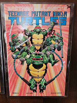 Teenage Mutant Ninja Turtles #24 (Mirage Studios August 1989)