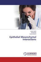 Sonal Lahoti (U. A.) | Epithelial Mesenchymal Interactions | Taschenbuch (2019)