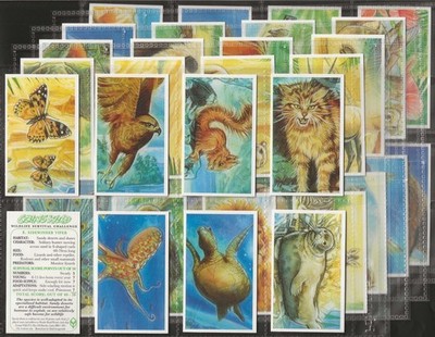 BROOKE BOND (TEA)-FULL SET- GOING WILD 1994 (M40 CARDS) EXCELLENT+++