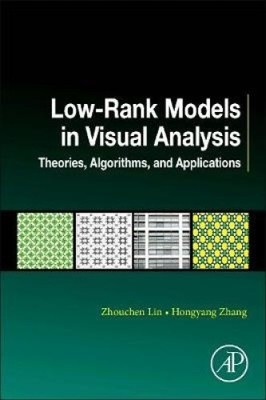 Low-Rank-Modelle in der visuellen Analyse: Theorien, Algorithmen und Anwendungen